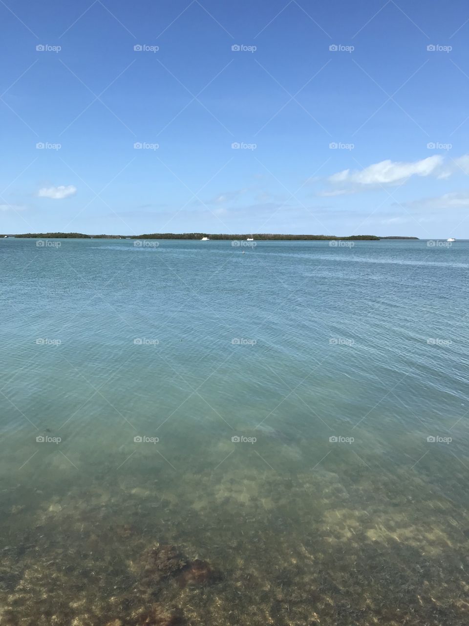 Florida keys ocean 