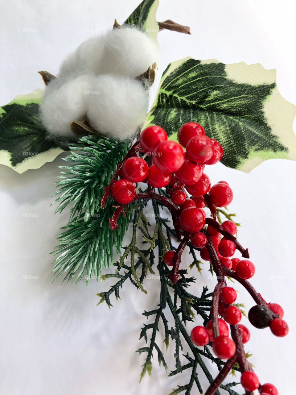 Красные ягодки на зелёной веточки 