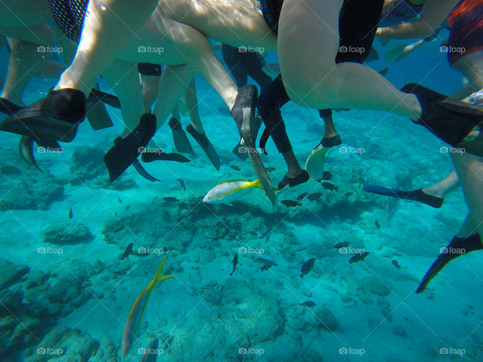 Snorkeling