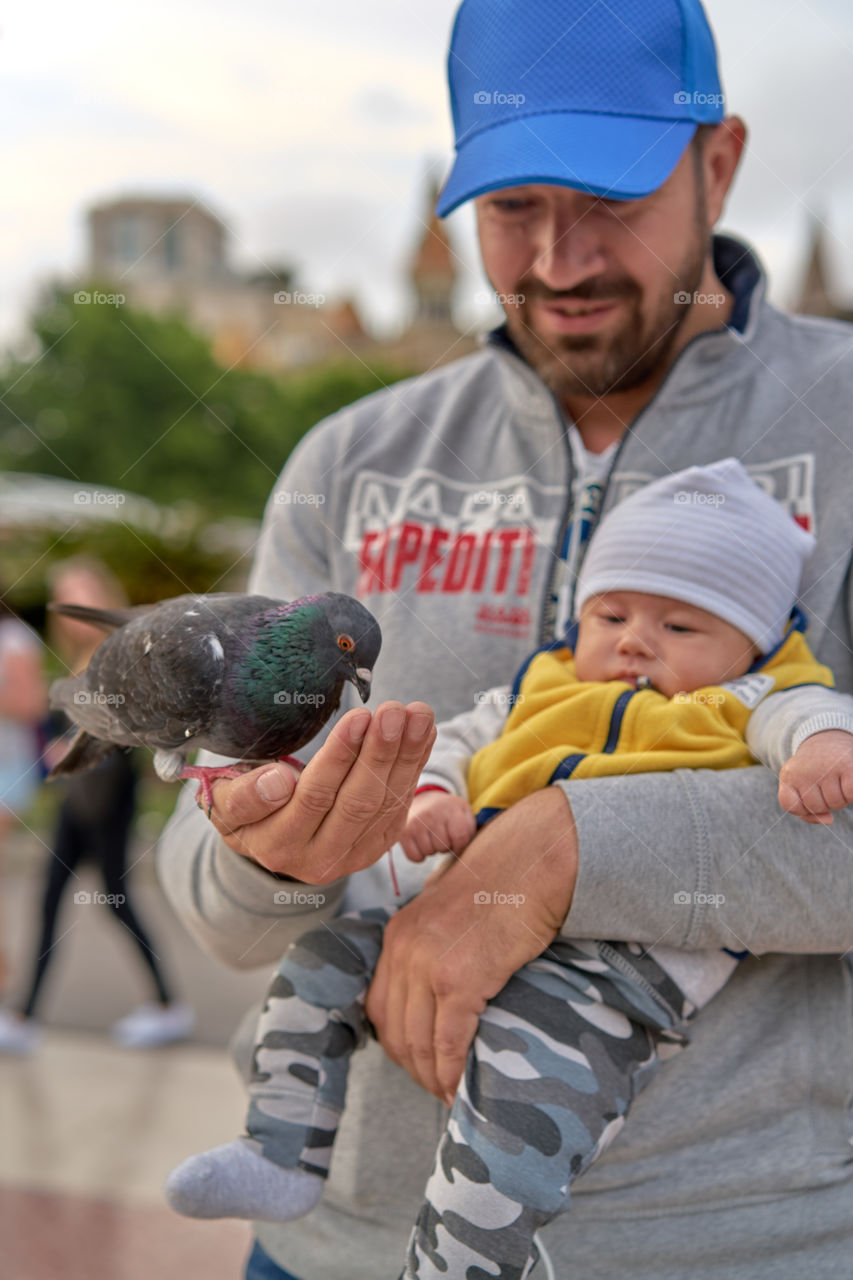 Father, Son and Pigeon