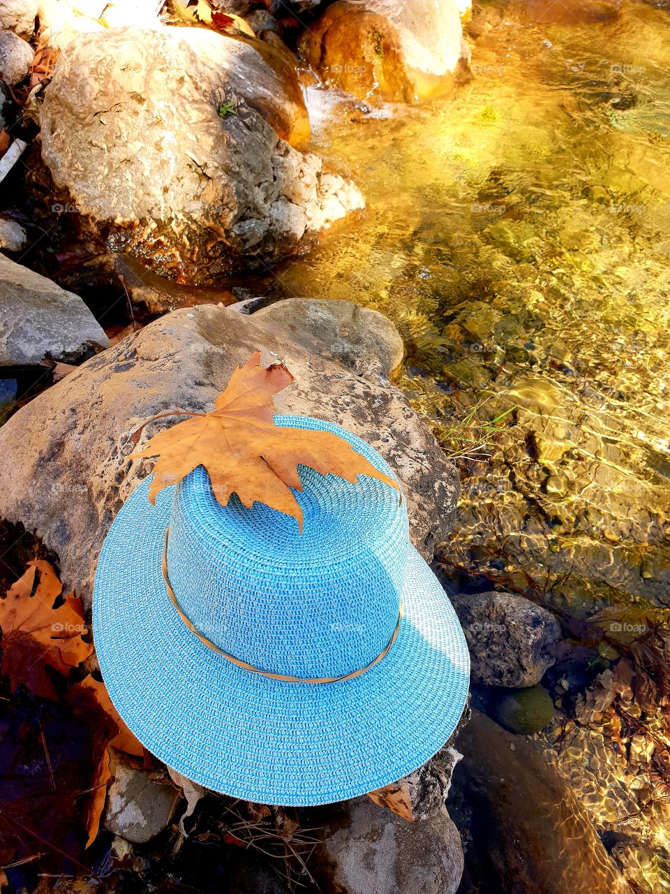 my hat in the fall