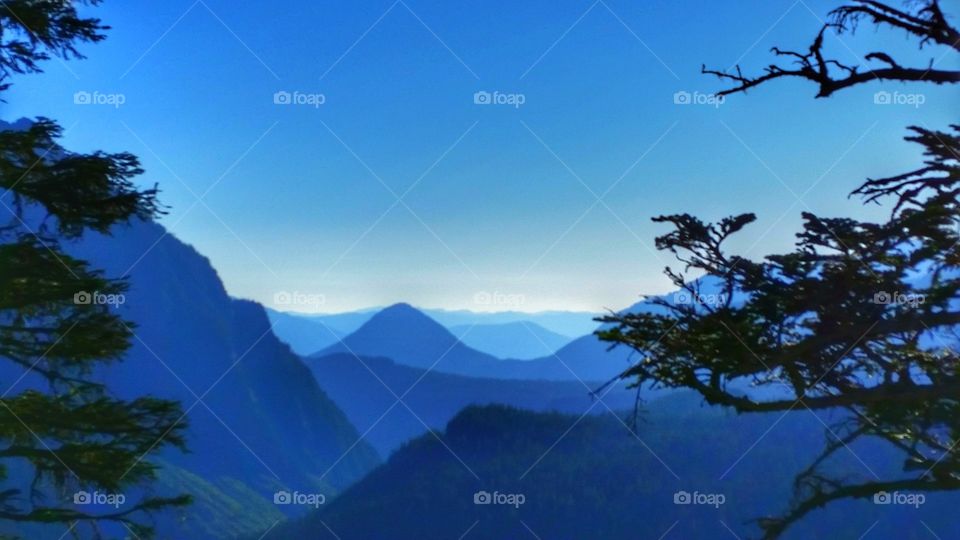 Beautiful blue hour over looking mountains, valleys, hills, terrains and plateaus with blue sky above and trees on the side.