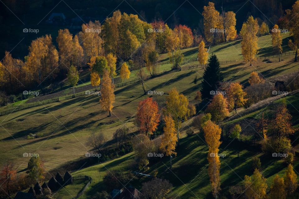 Autumn landscape 