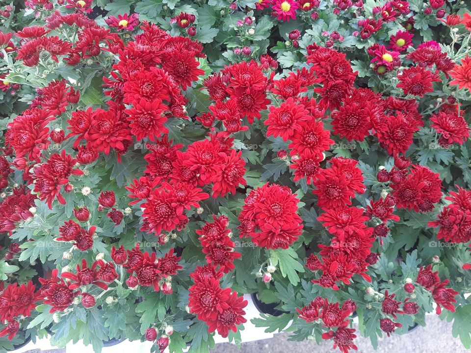 Please make me happy, I am poor, I need your help with support