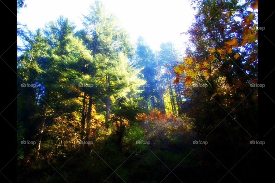 First hike of the year