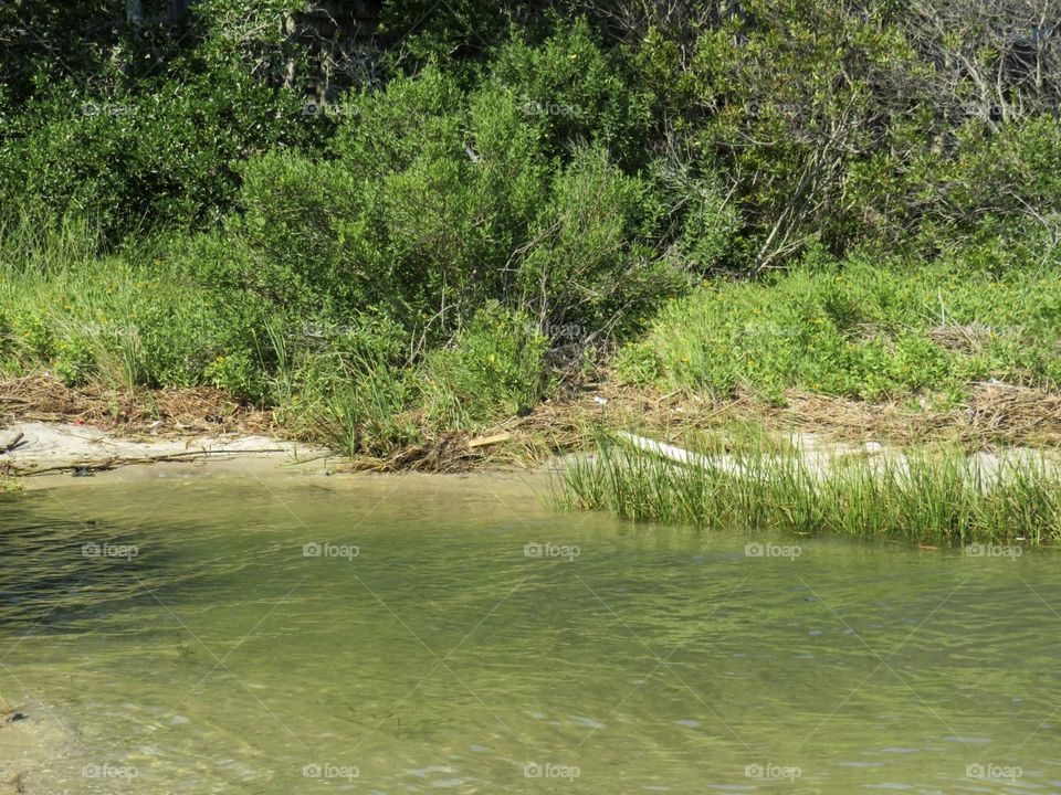 A beautiful landscape, river, tress, grass, and sand