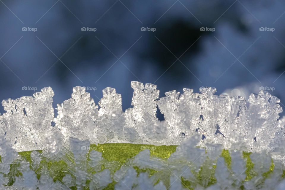 Closeup of beautiful frost ice crystals on a green leaf in sunlight with dark background on a cold winter day 