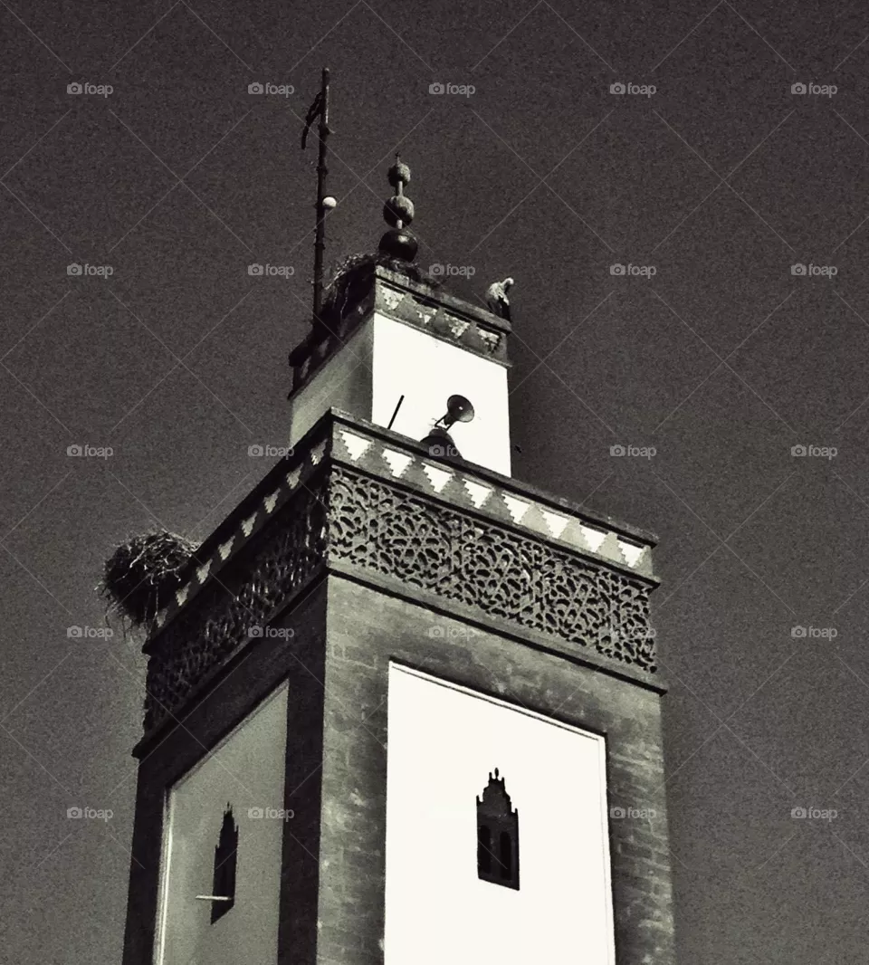 mosque hermitage