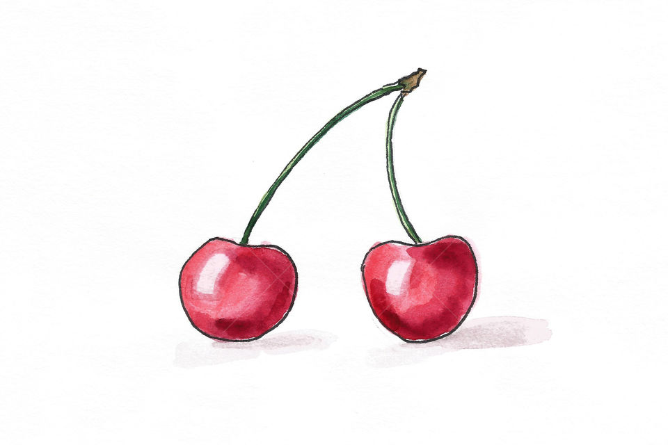 Illustration of Cherry 