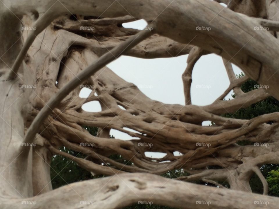 Driftwood PEI