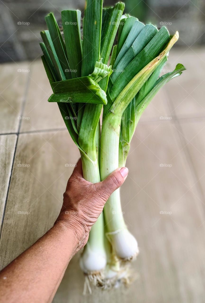 person holding a bunch of leeks for seasoning