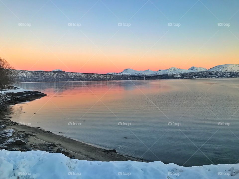 Nature of Narvik