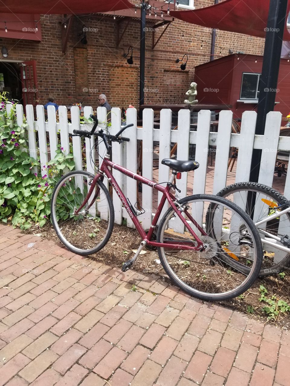 Bicycles around town