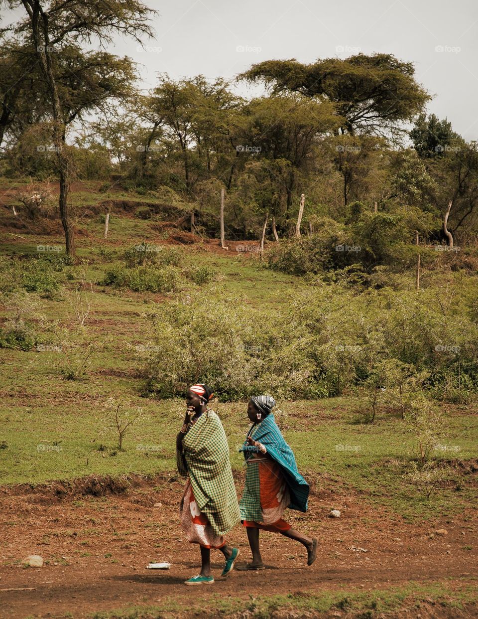 Maasai 