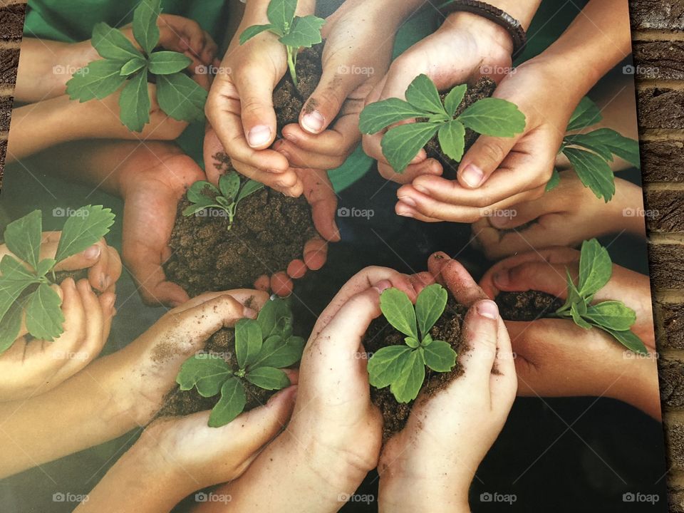 A photograph of a photo showing a number of people involved with planting some seedlings, work that is common at a Horticultural training college.