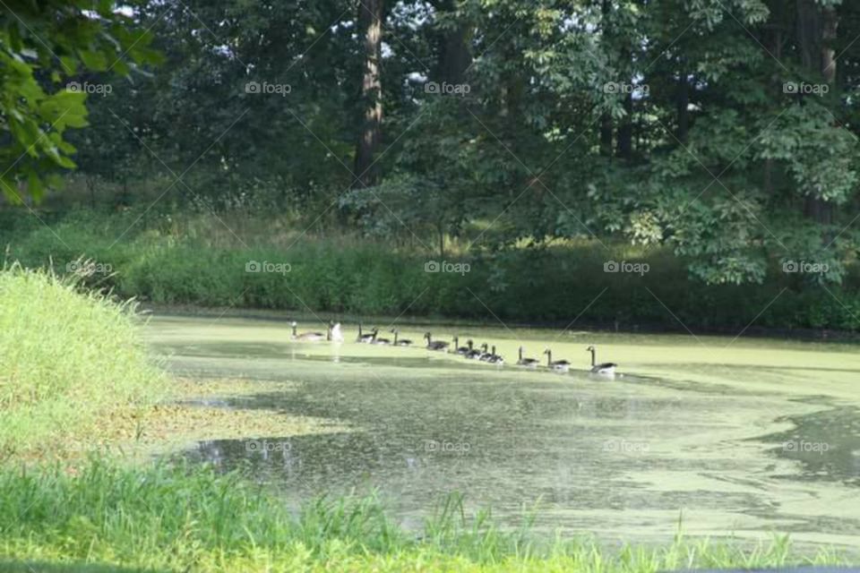 family on pond