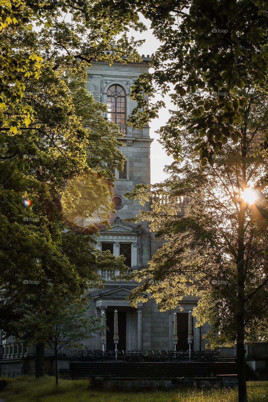 Sunset in the palace park