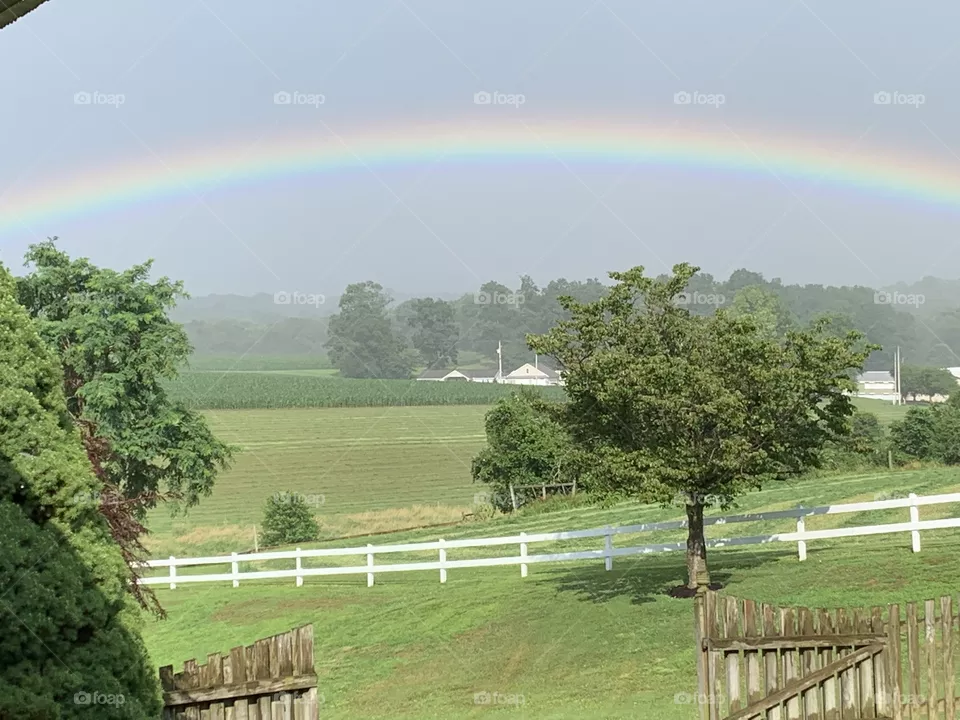 Rainbow 