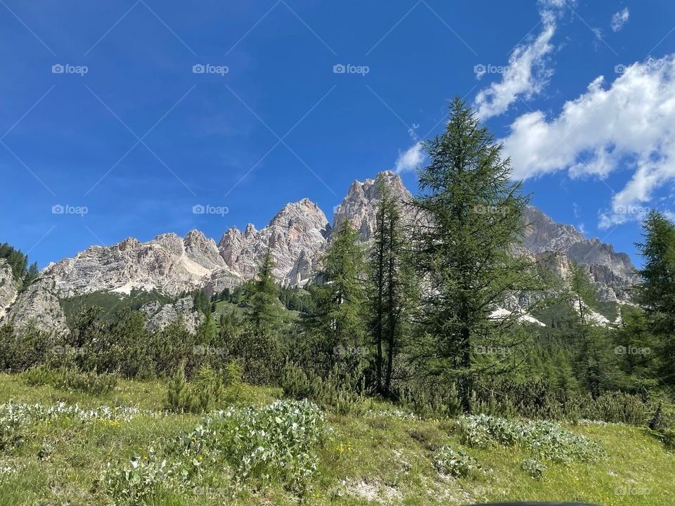 Trentino italy