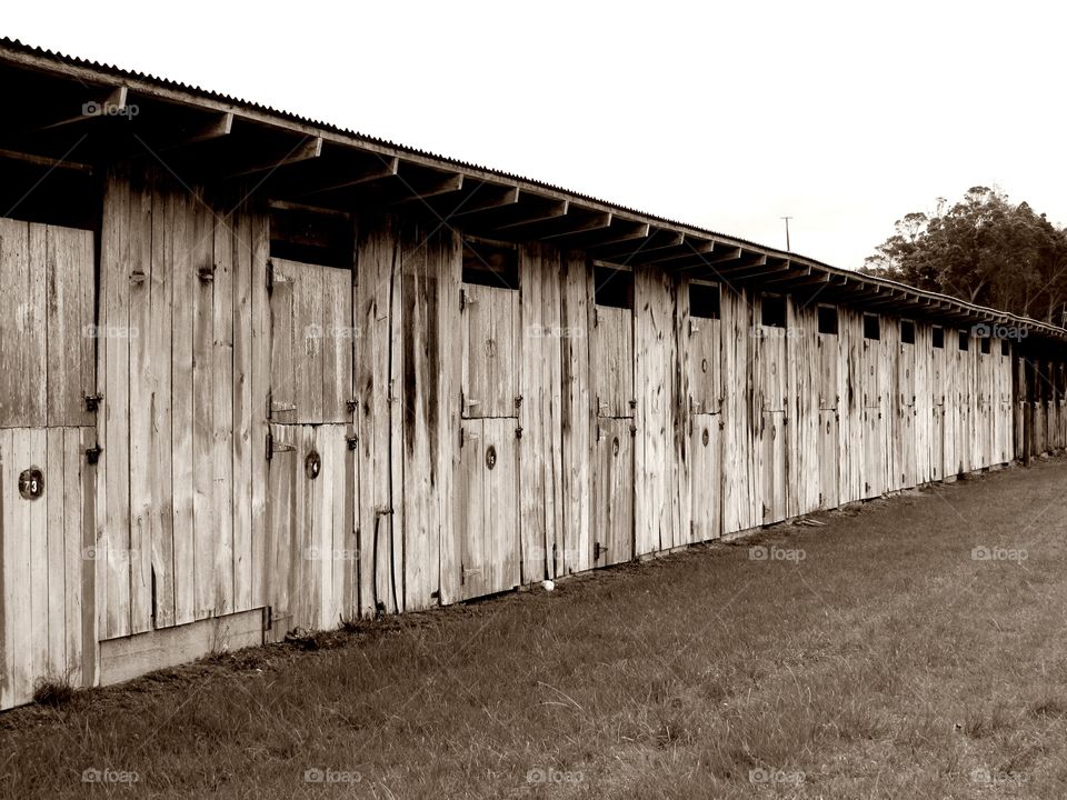 Horse Stables