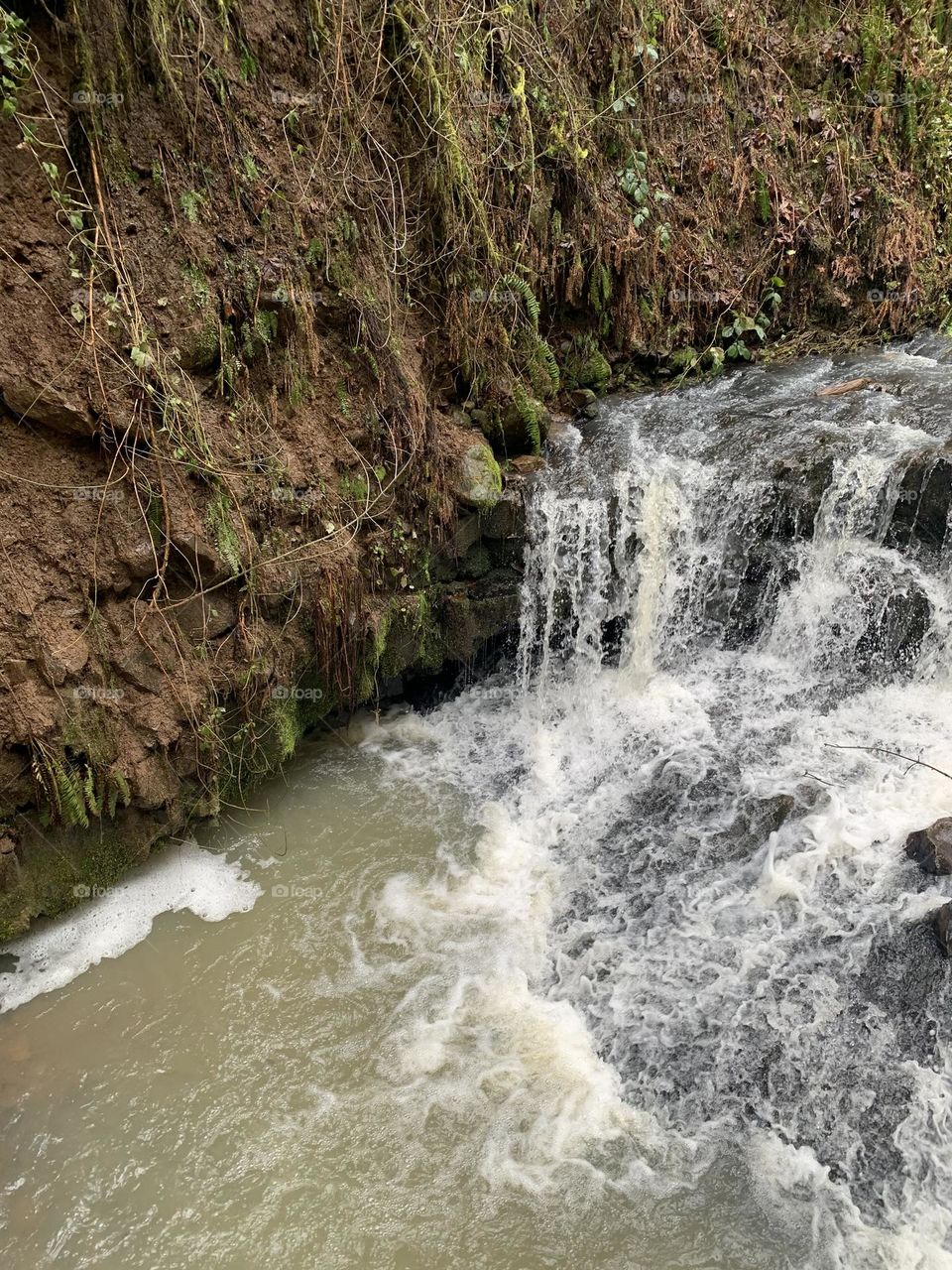 Waterfall in the forest 