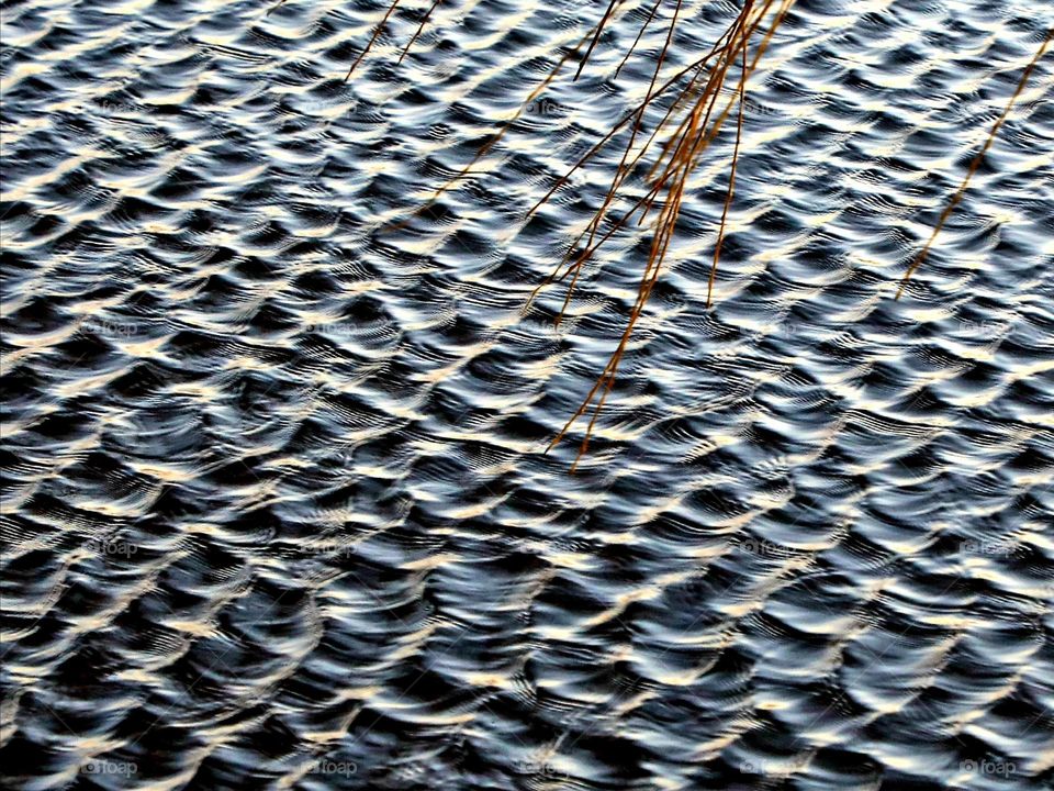 Water ripples