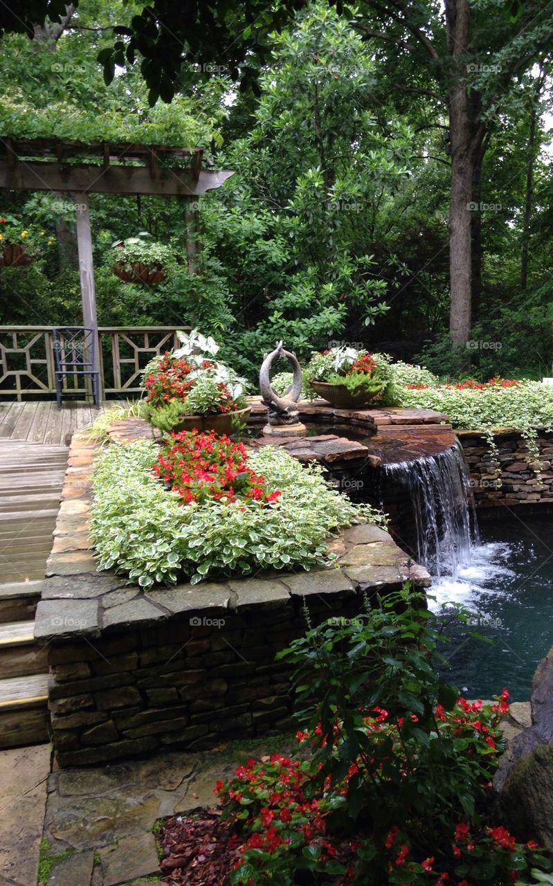 Backyard garden and waterfall