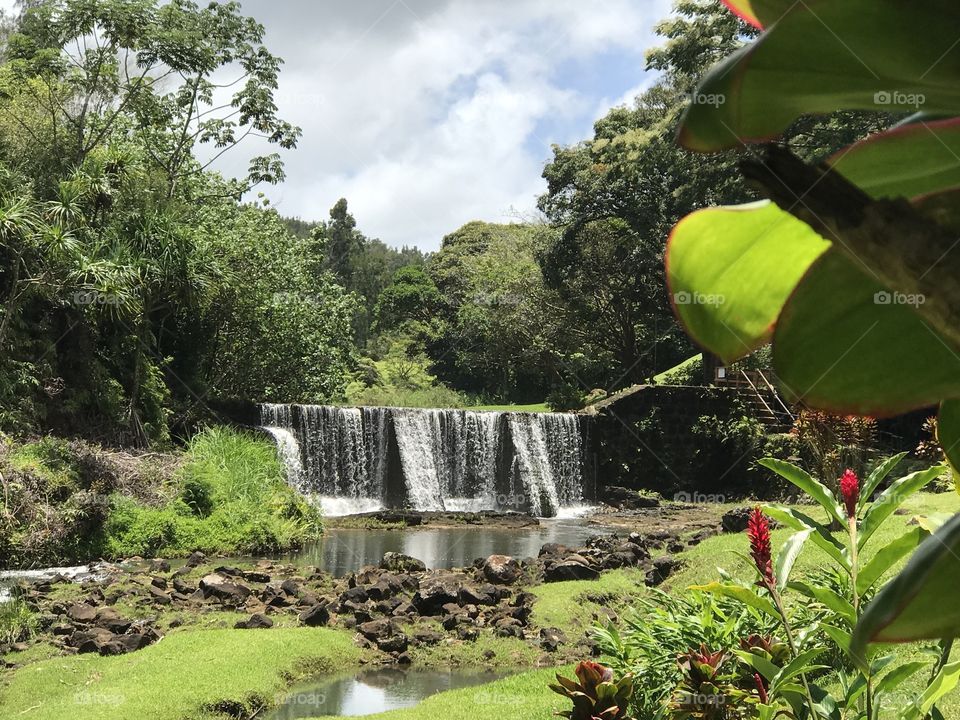 Stone Dam Kauai