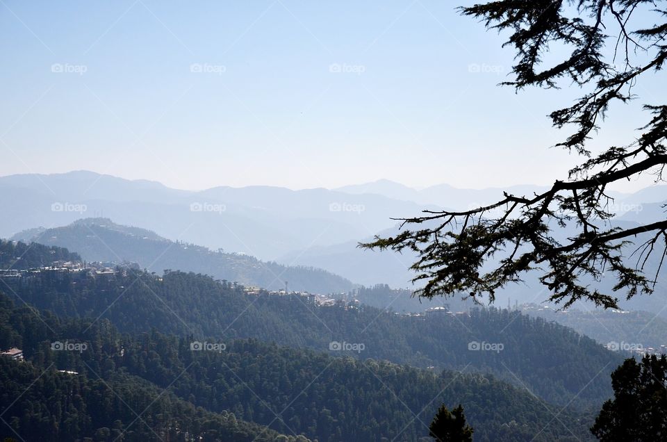 Shimla Hills