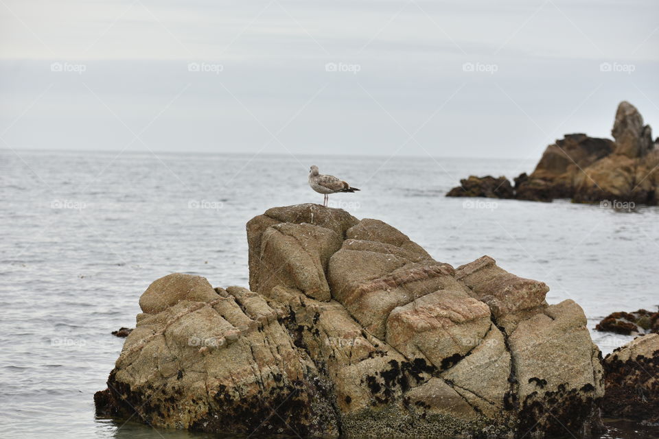 Coastal view