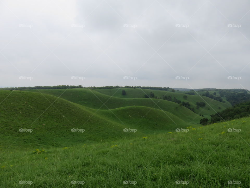 Green desert hiking through