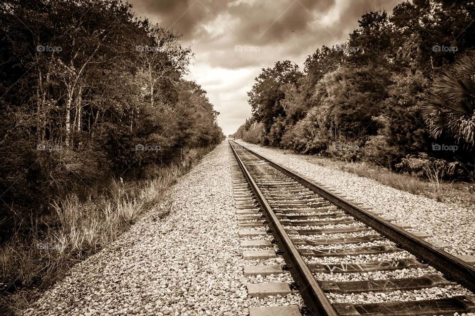 Florida railroad