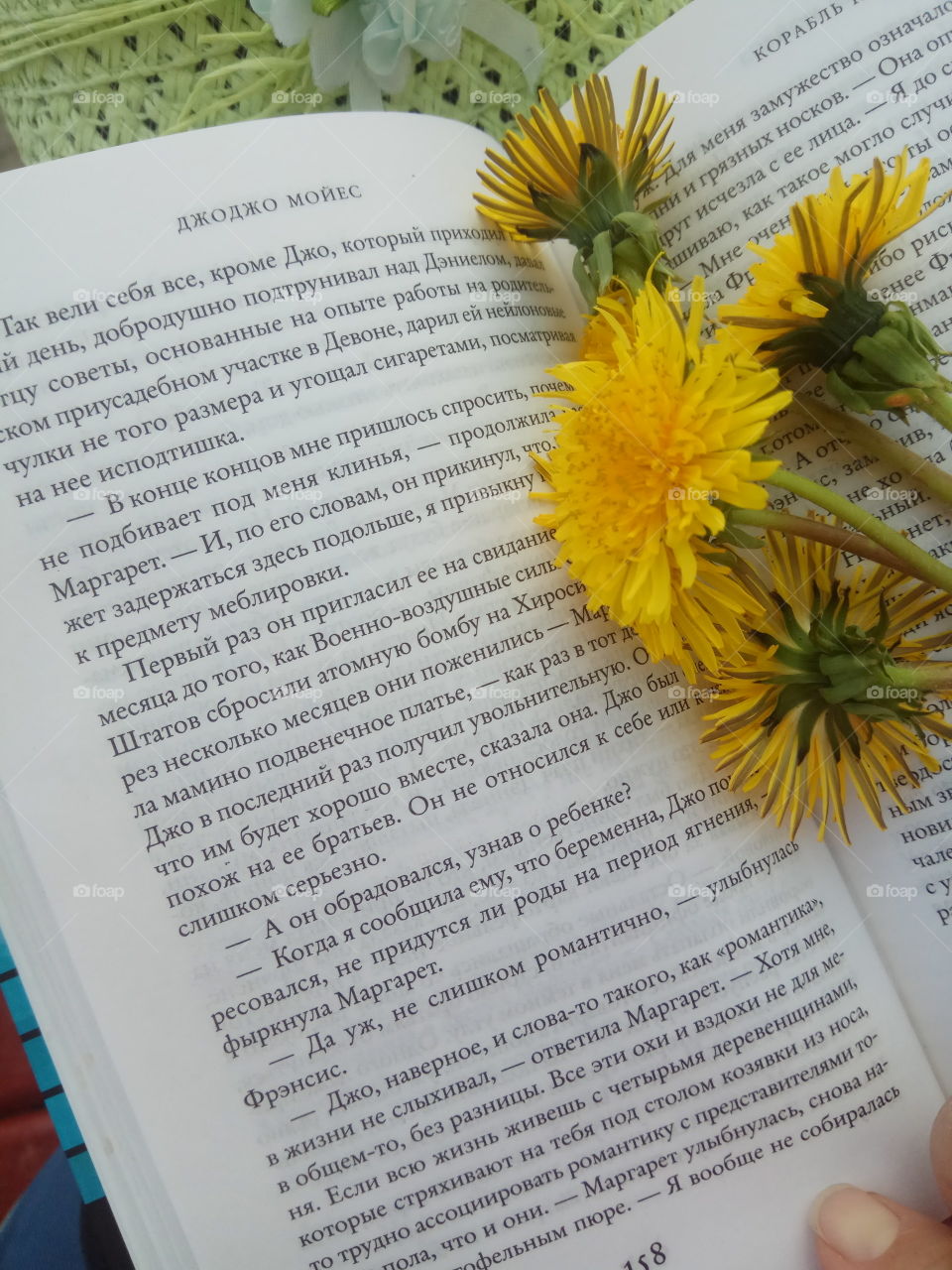 yellow dandelions on the book
