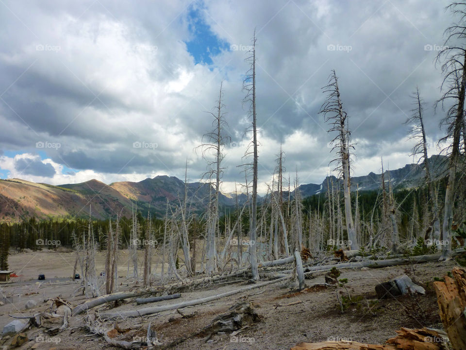 clouds trees mountains dead by kenglund