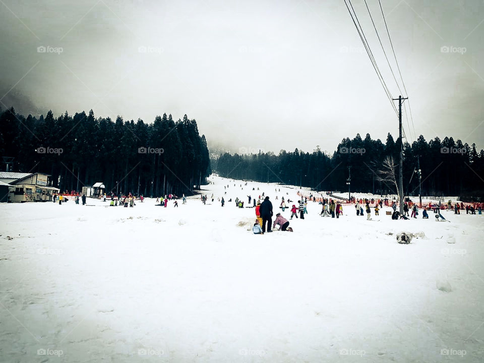 beautiful view of snow season