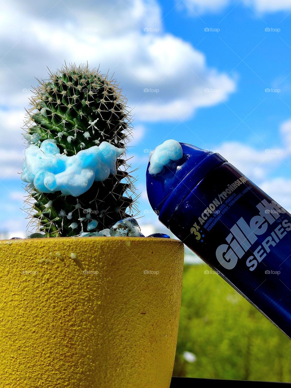 There is a yellow pot with a prickly cactus on the windowsill.  Shaving gel in the form of a smile on a cactus.  Next to it is a bottle of Gillette series shaving gel.  Green trees and blue sky with white clouds in the background