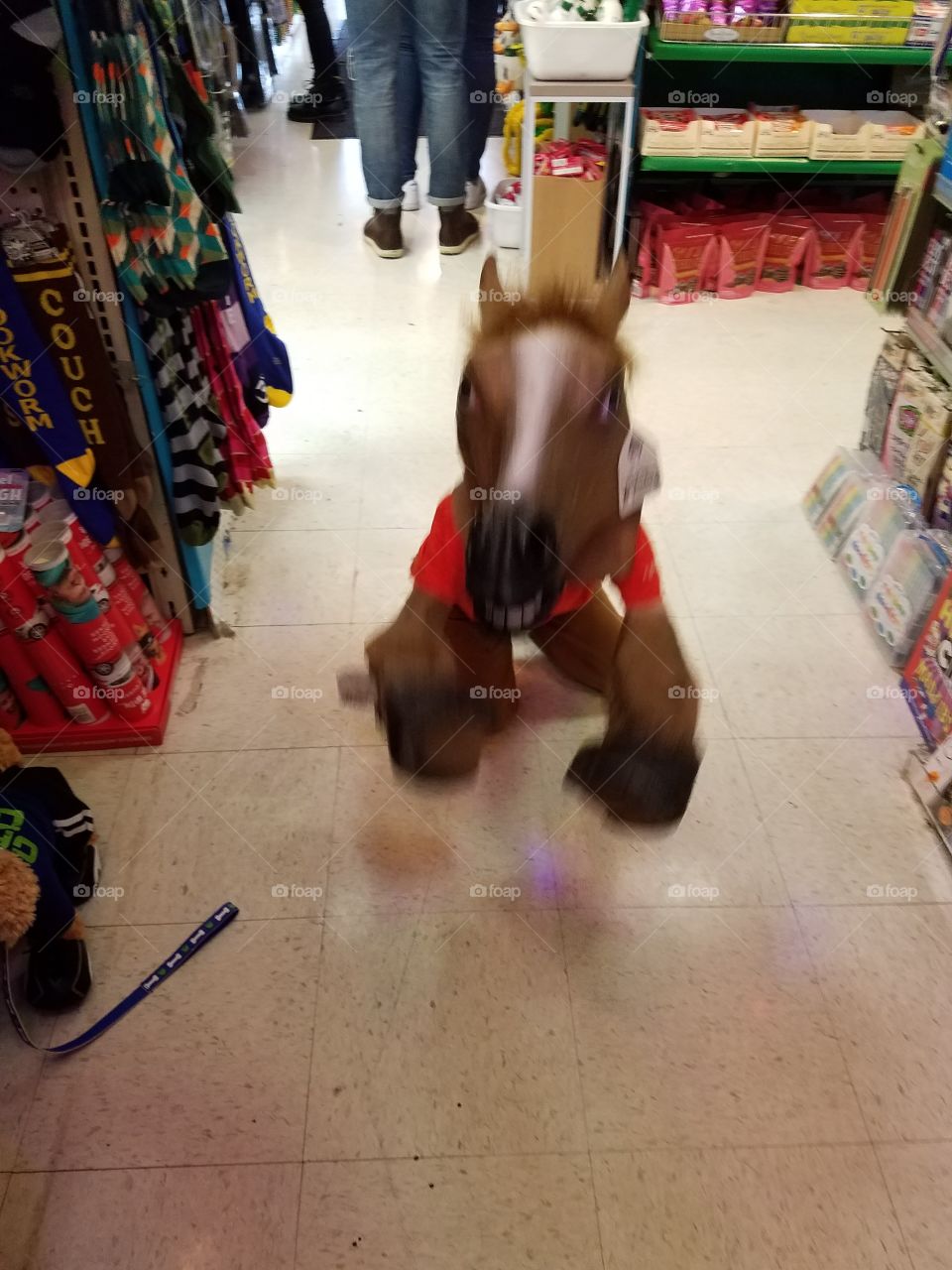 Little boy wears horse costume well.