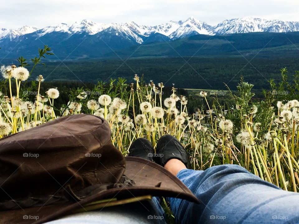 Breathtaking view of Canada's Rocky Mountains in glacier national park near golden bc from vantage point of an alpine meadow. 