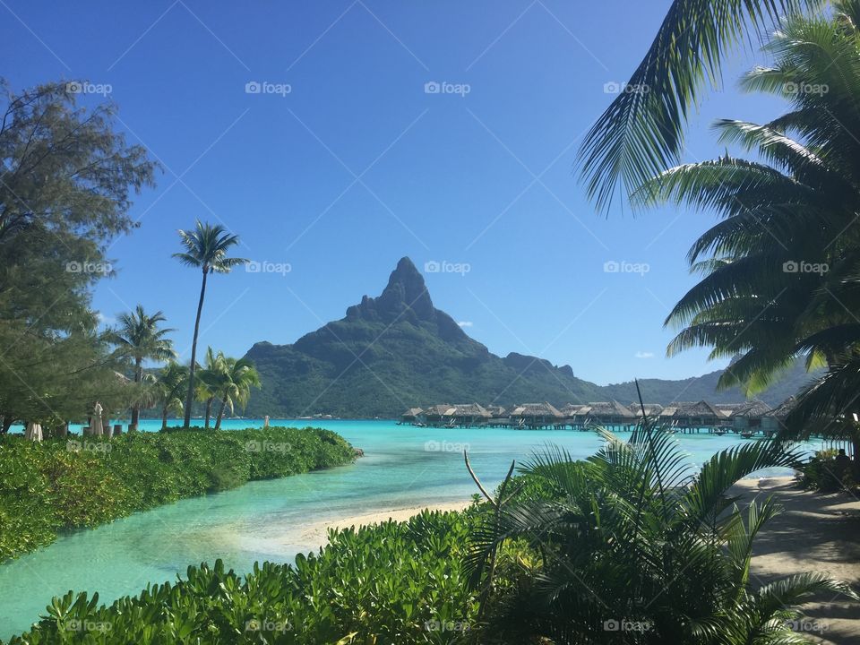 bora bora