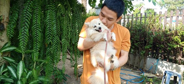 The Little Cute Dog Always Love and Loyalty to You.