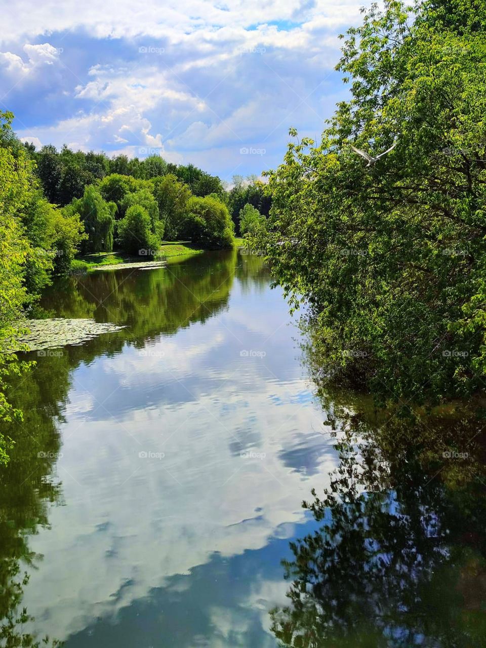 River.  Reflection in the river of clouds and forests around