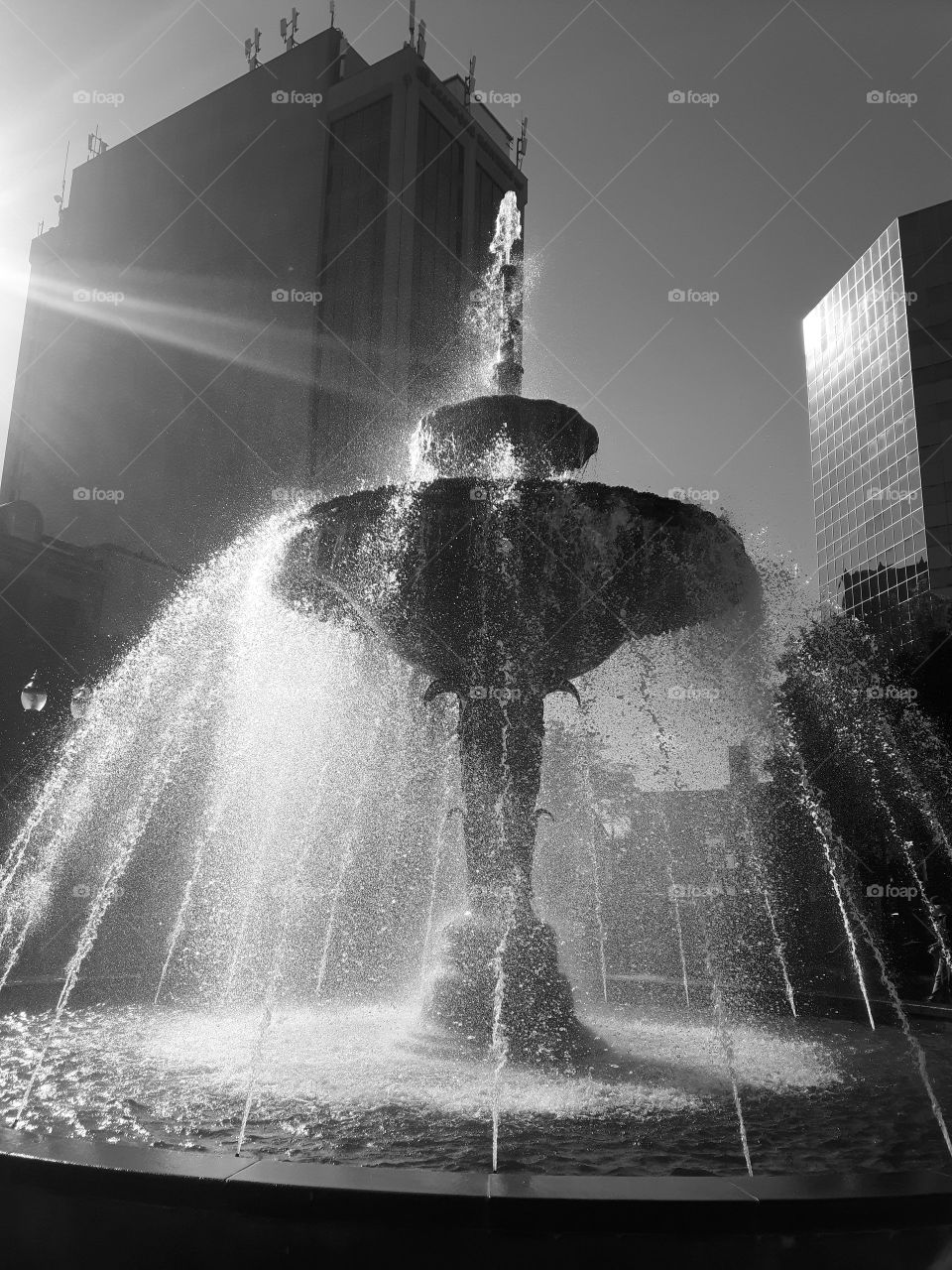 black and white fountain