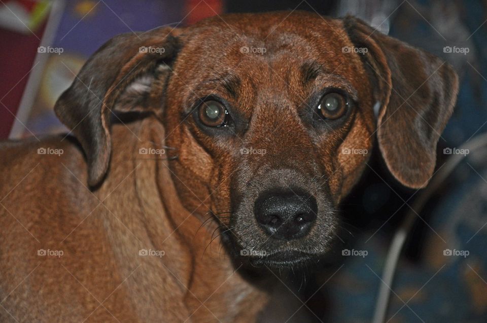 Beautiful macro shots