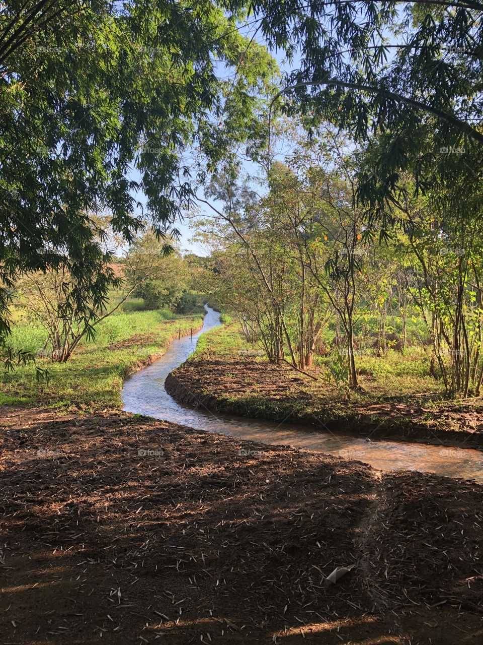 Esse lugar lindo? Uma nascente em uma chácara que amamos ficar! Trás umas paz essa foto, quando a tirei nem acreditei que consegui captar tal beleza!