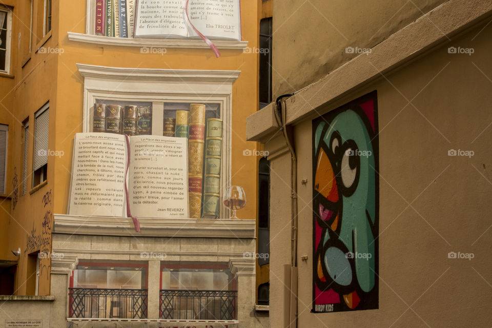 Graffiti and famous mural, Lyon