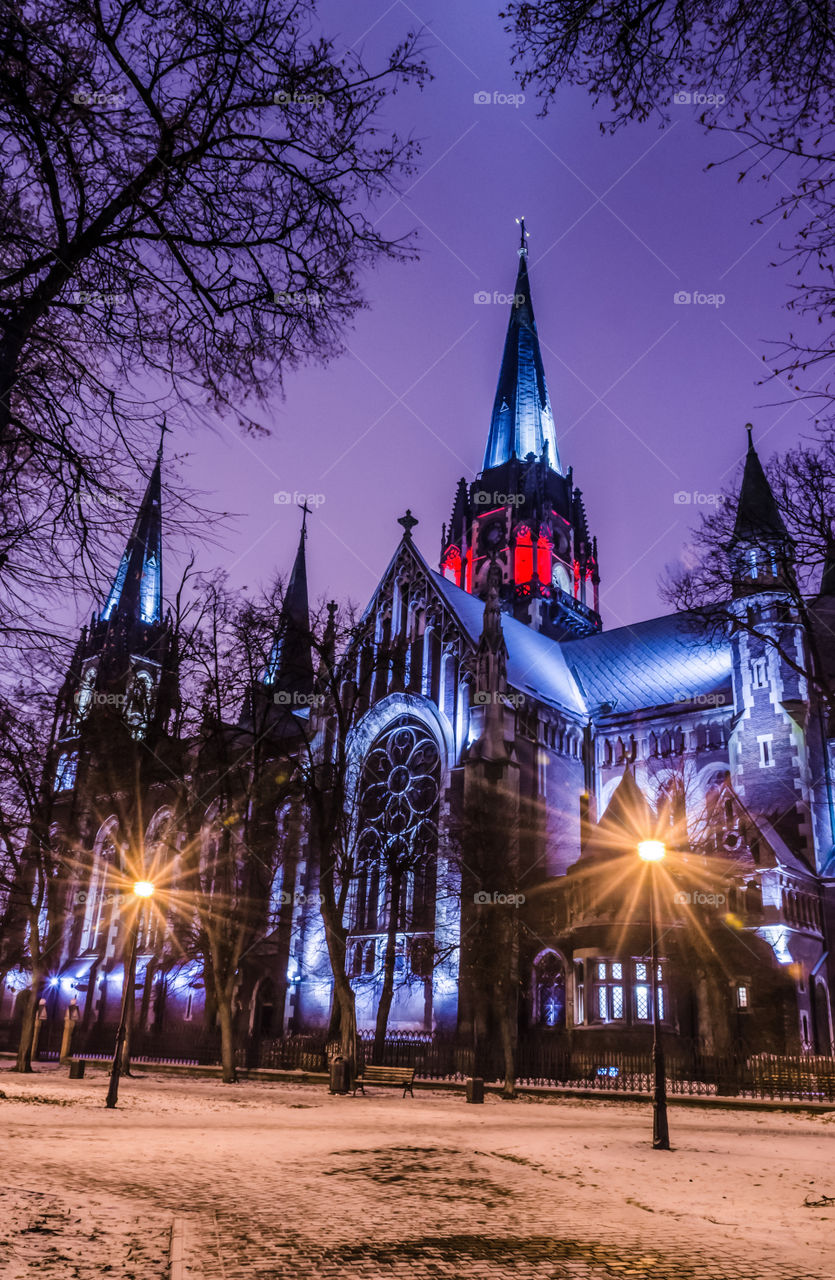 St. Olga and Elizabeth cathedral in Lviv city