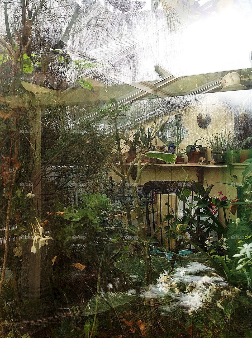 Greenhouse reflection