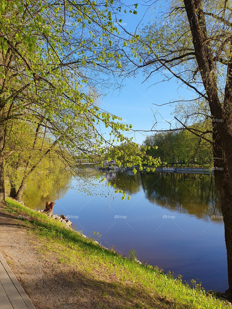 Amazing view on a sunny spring day.