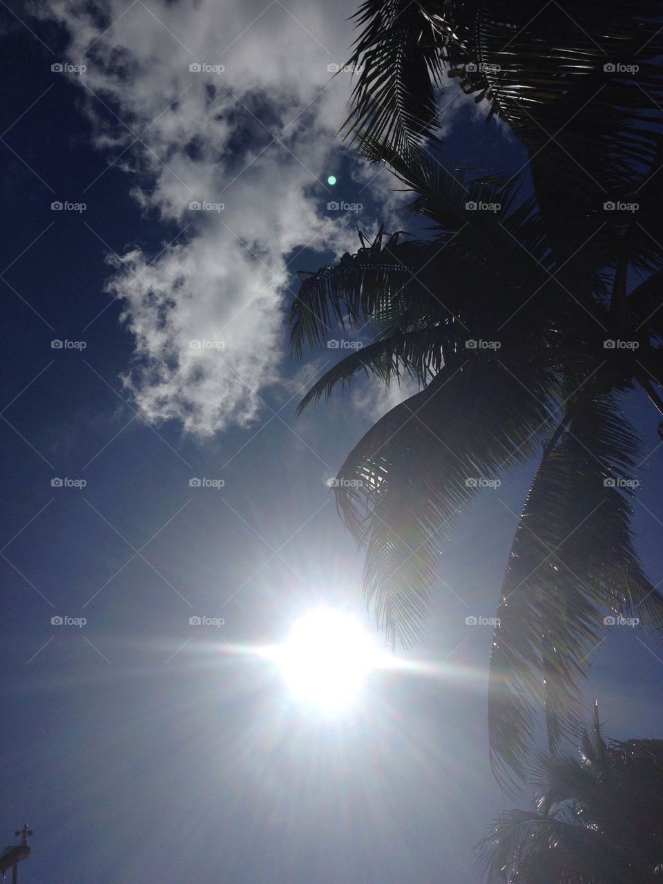 sky clouds sun palm tree by julierabin