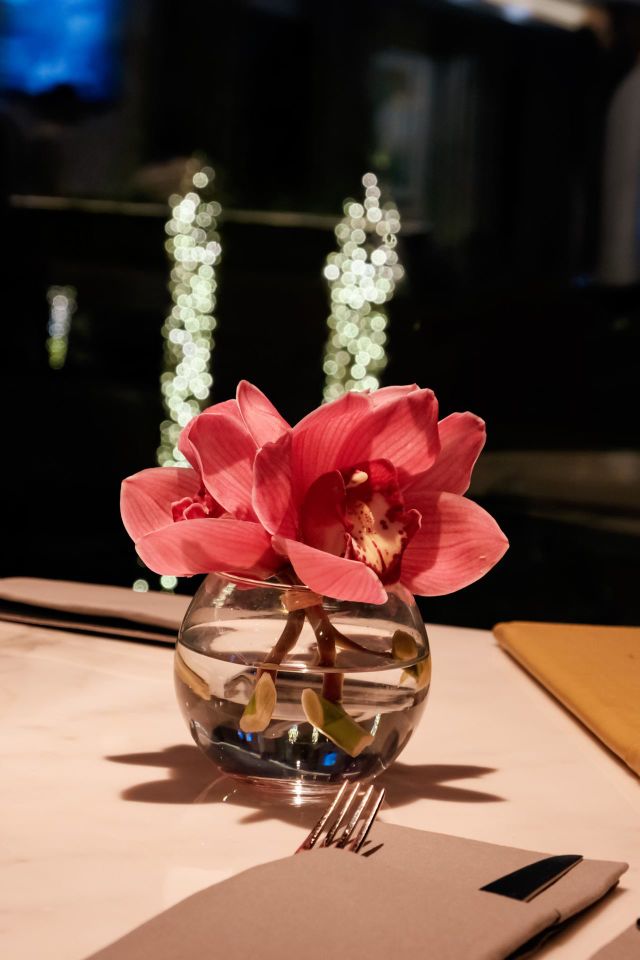 Orchidee